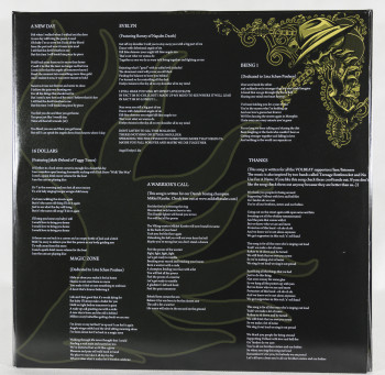 Volbeat Beyond Hell / Above Heaven, Vertigo/Universal europe, LP brown