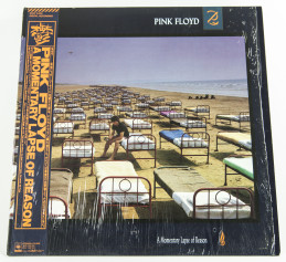 Pink Floyd A Momentary Lapse of Reason, CBS/Sony japan, LP
